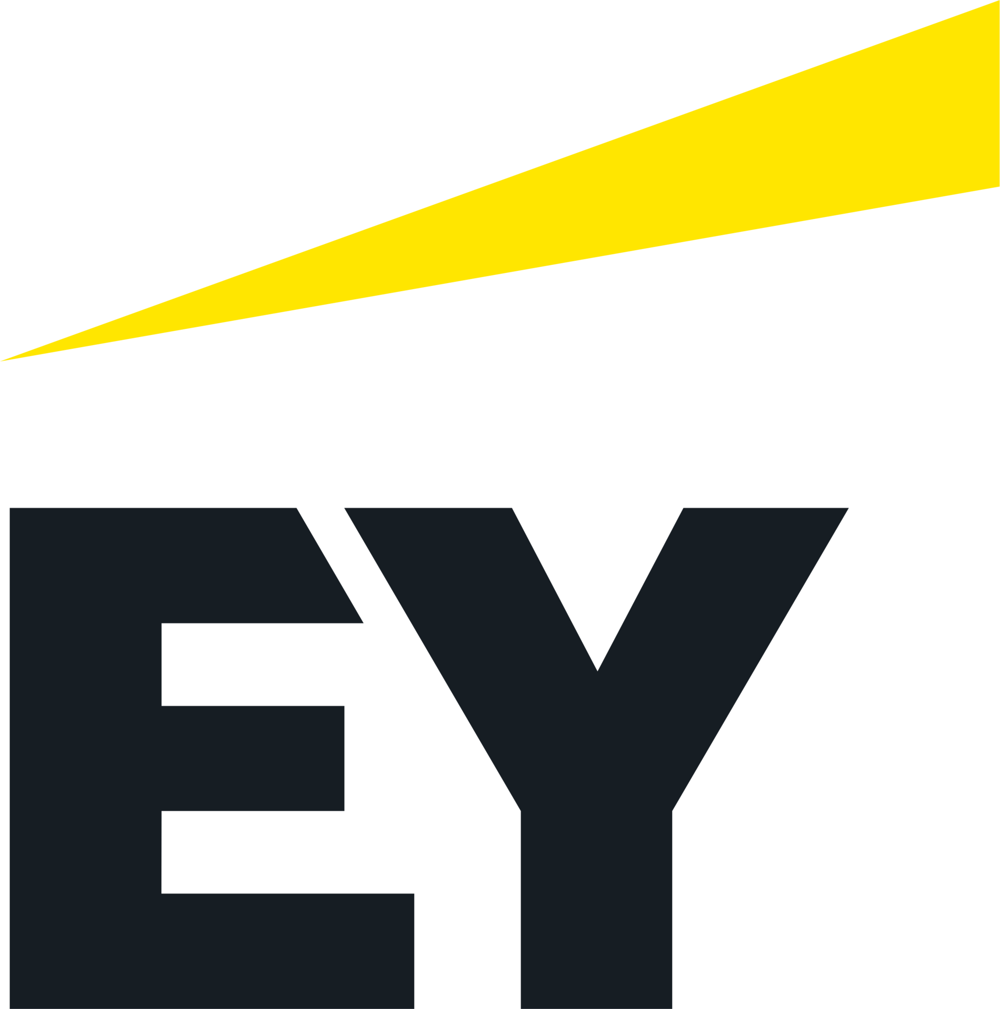 ernst-young